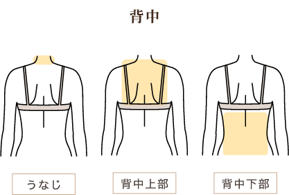 背中