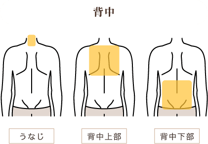 背中