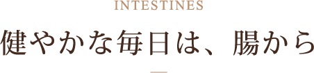 健やかな毎日は、腸から